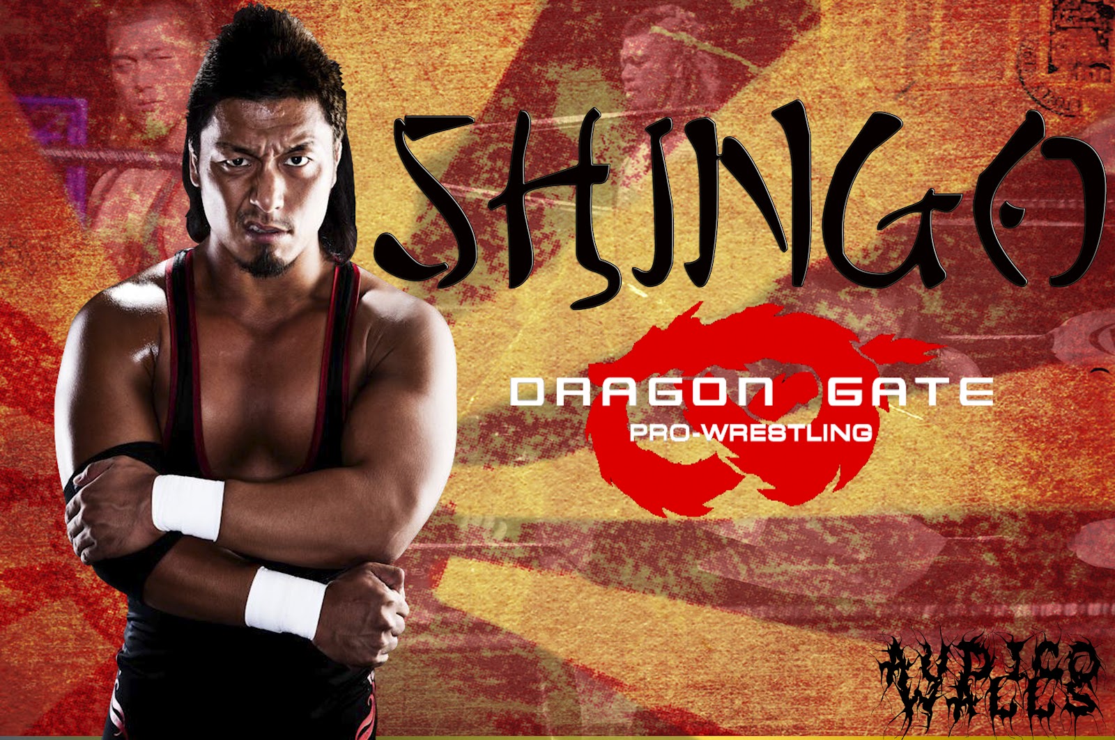 Shingo Wallpaper