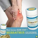 Obat Jamu Herbal Tradisional Alami Asam Urat Herbathus