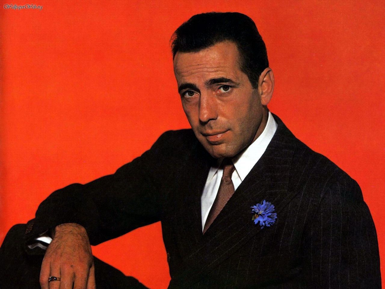 Humphrey Bogart - Picture Colection