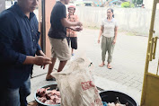 HNSI Medan dan Karang Taruna Belawan Kurban 2 Lembu Bagikan 400 Paket Daging 