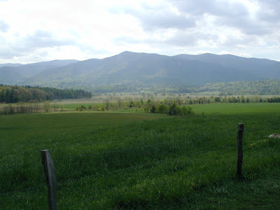 A view of the fields and mountains of Cades Cove.