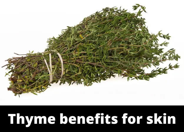 Thyme benefits for skin
