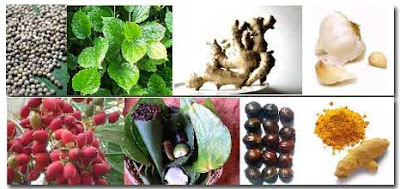 foredi agen bandung, apotik foredi di bandung, beli foredi bandung, jual foredi cod bandung, foredi di bandung, agen foredi di bandung, penjual foredi di bandung, obat foredi di bandung, distributor foredi di bandung, alamat foredi di bandung,