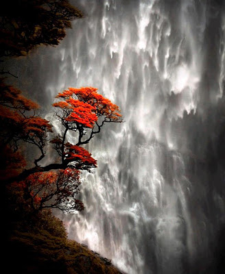 Hermosos paisajes cascadas wallpapers