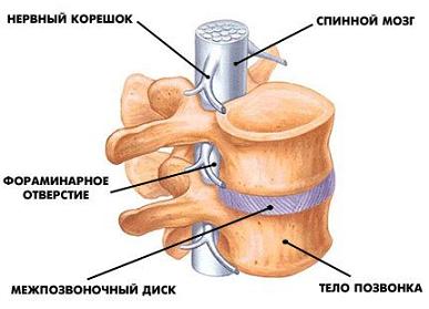 диета при угревой