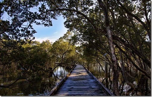boardwalk-1