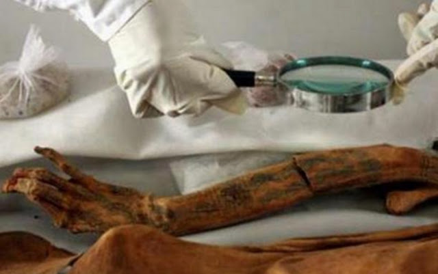 Татуированная мумия Королевы-Жрицы, Леди Као (культура Моче)