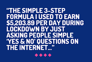 “The Simple 3-Step Formula I Used To Earn $5,203.89 Per Day During Lockdown By Just Asking People Simple ‘Yes & No’ Questions On The Internet…”