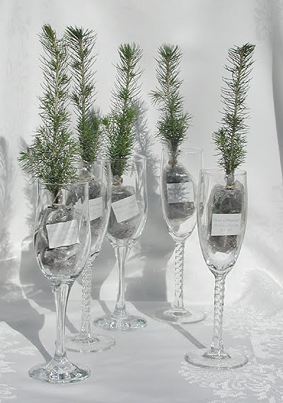 perfect for a rustic fall wedding these seedlings not only come with