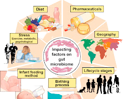 The Microbiome Revolution: How the New Science of Gut Bacteria Is Changing Our Understanding of Health and Disease