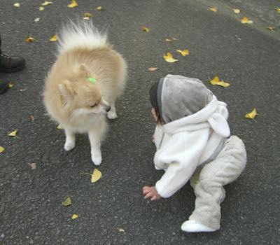 子供と犬