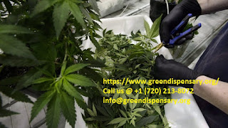  Medical Marijuana online USA
