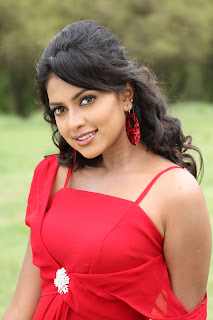 Amala Paul Wallpapers Free Download