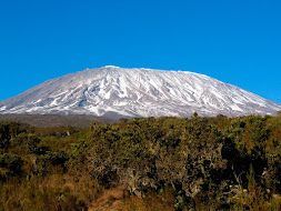 Image of a snowy mountain surrounded by trees.