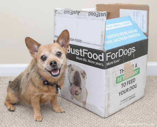 Jada next to a Just Food For Dogs box