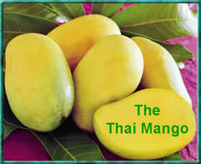 Thai Mangoes