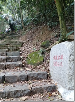 DSC_5344 (2)