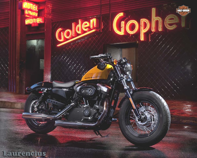 Harley-Davidson-Sportster_Forty_eight_XL1200X