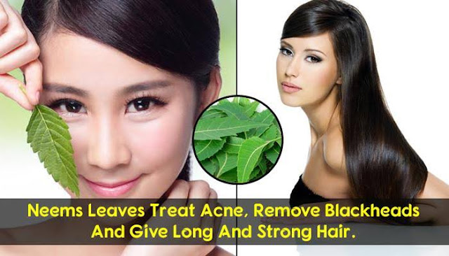 Neem For Hair And Skin