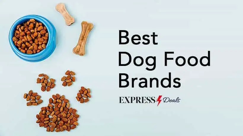 8 best dog food brands to consider for a healthy and balanced diet in 2023