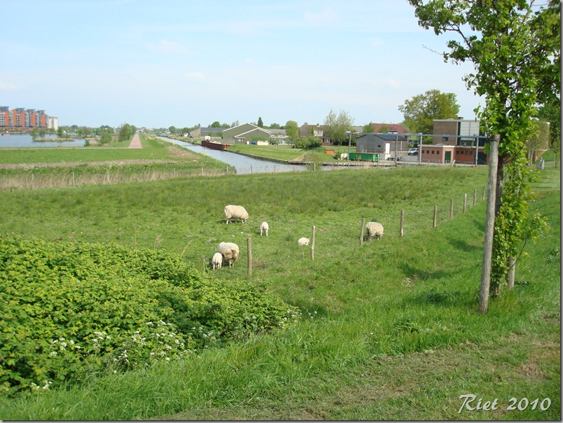 rhoon en kasteel 151