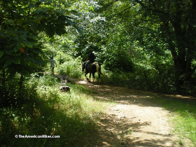 A hiker and horseback rider traveling together on the trails at Woodlawn Trust Wildlife Preserve