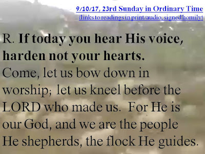 http://faithfulinthe8th.blogspot.com/2017/09/91017-23rd-sunday-in-ordinary-time.html