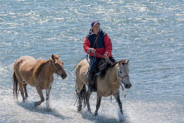 horse-wallpaper-riding