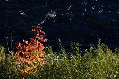 IMG_5900 copy
