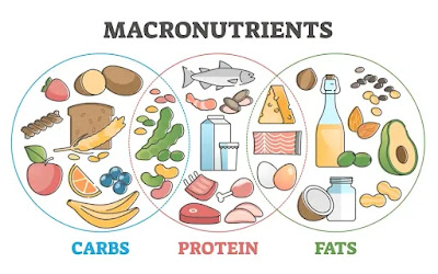 Macronutrients