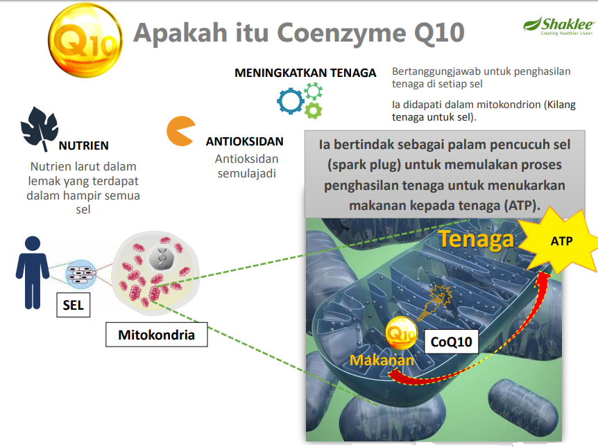 CoQ Trol Plus Shaklee - Khasiat Dan Keistimewaan Yang 