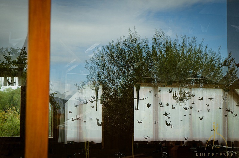 069_SSZ_9235