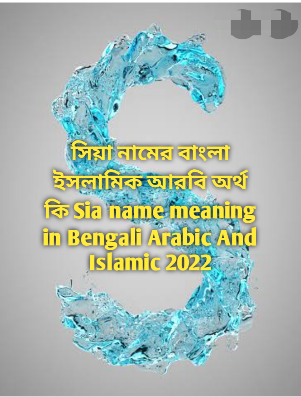 Sia name meaning in Bengali, Sia name meaning, সিয়া নামের অর্থ কি, Sia namer ortho ki, সিয়া নামের বাংলা অর্থ কি, সিয়া নামের ইসলামিক অর্থ কি, সিয়া নামের আরবি অর্থ কি, সিয়া নামটি কি আরবী নাম, সিয়া নামটি কি ইসলামিক নাম
