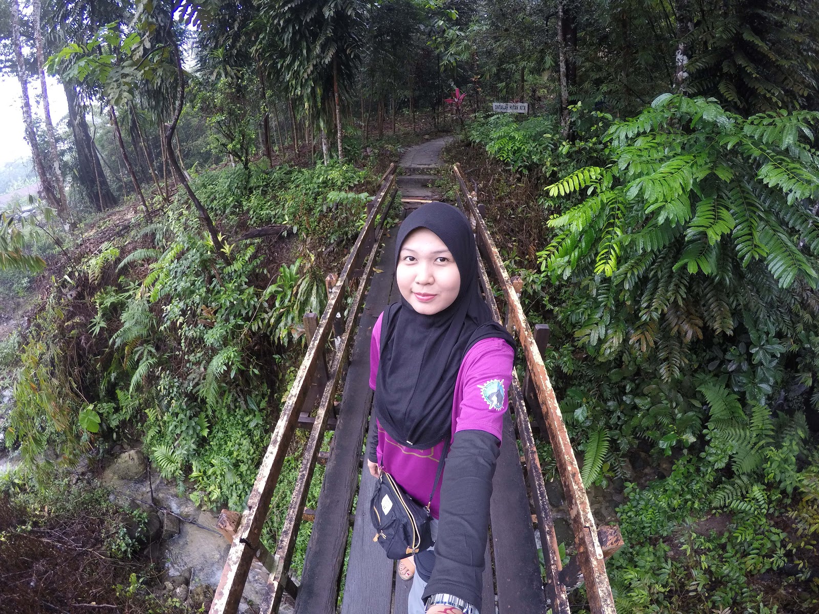 Bukit Larut merupakan kawasan reakreasi Tanah Tinggi di negeri Perak Bukit Larut atau Bukit Maxwell dinamakan sempena residen British ketika itu iaitu