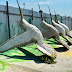 Aves, insetos e orquidário vão ganhando chapisco, estruturas e pintura na segunda etapa do Gigantes da Floresta
