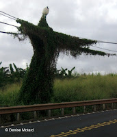 Man in the wires (2009) - Along Farrington Highway, Oahu, HI