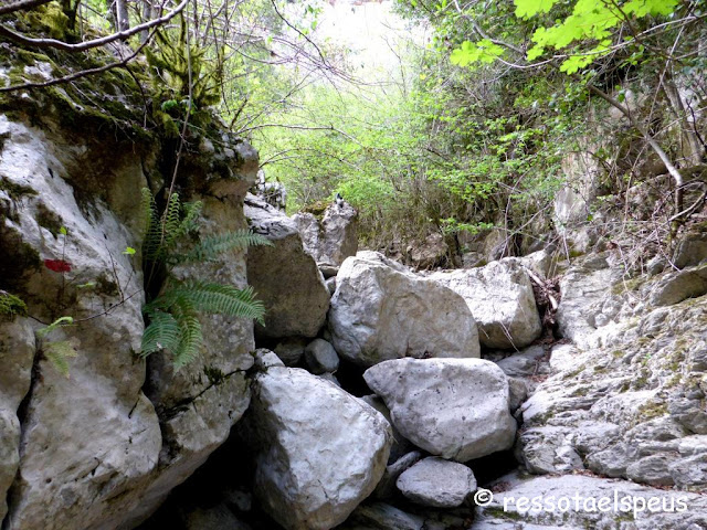 Circular al Comanegra des de Beget