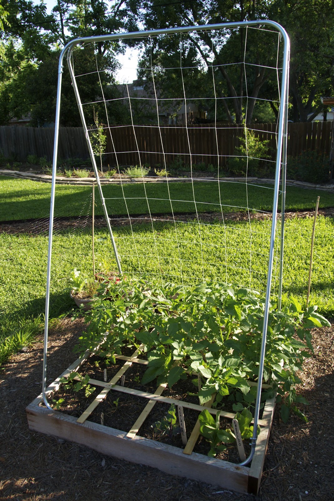 The Amazing $15 Trellis From Our Garden