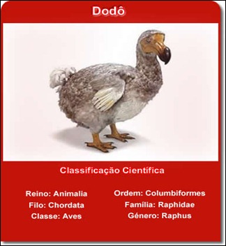 Dodô1
