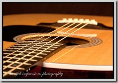 Martin guitar 04