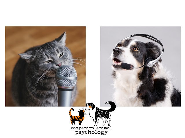 Left, a cat rubs their chin on a microphone while right, a Border Collie wears a headset. Beneath, the Companion Animal Psychology logo