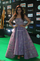 Parul Yadav in Stunning Purple Sleeveless Transparent Gown at IIFA Utsavam Awards 2017  Day 2  Exclusive 27.JPG