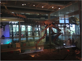 樹谷生活科學館-旅遊