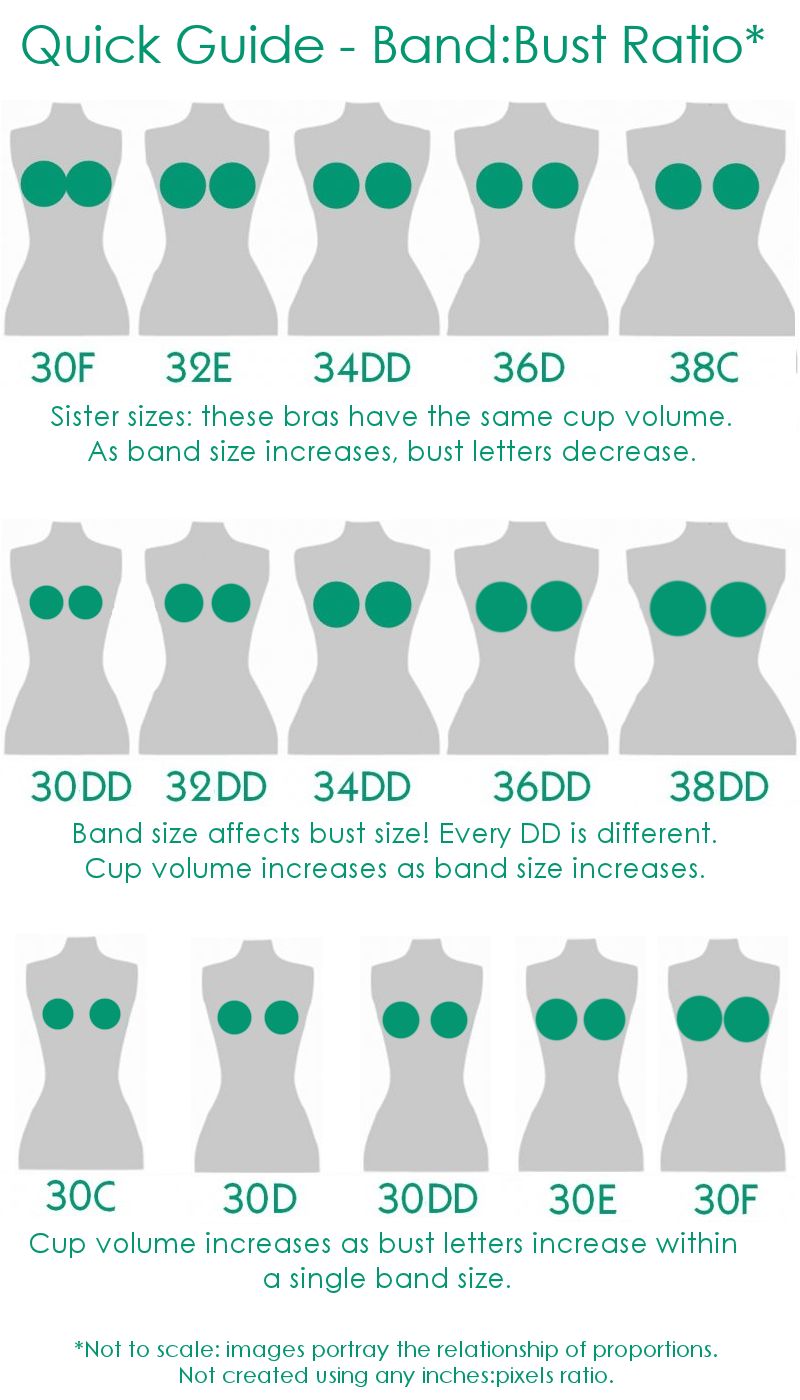 EPBOT: Everything You Never Knew You Needed To Know About Bras