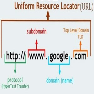 Domain