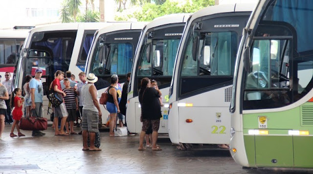 Rui Costa prorroga suspensão de transporte intermunicipal até 15 de abril