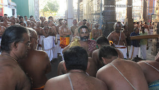 Sri Ramar ,Garuda SEvai, Garuda VAhanam, Sri Rama NAvami, Ramar Purappadu, Triplicane,  Panguni,Purappadu, Thiruvallikeni, Utsavam