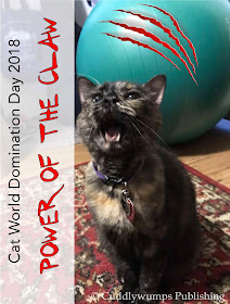 #CatWorldDominationDay #SundaySelfie