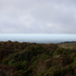 View album