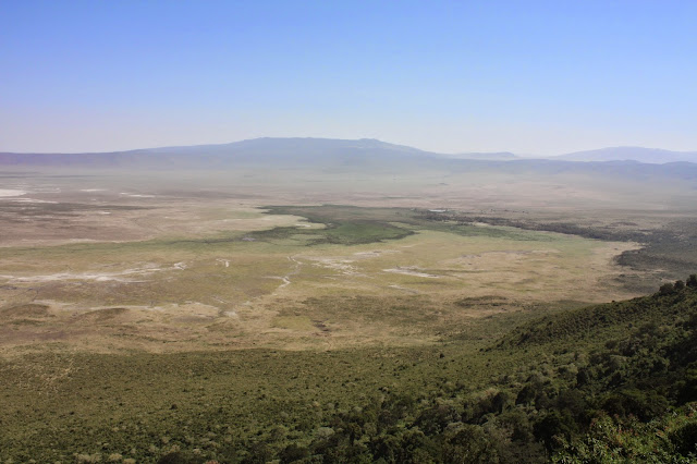 tansania safari afrikka matka ngorongoro kraateri